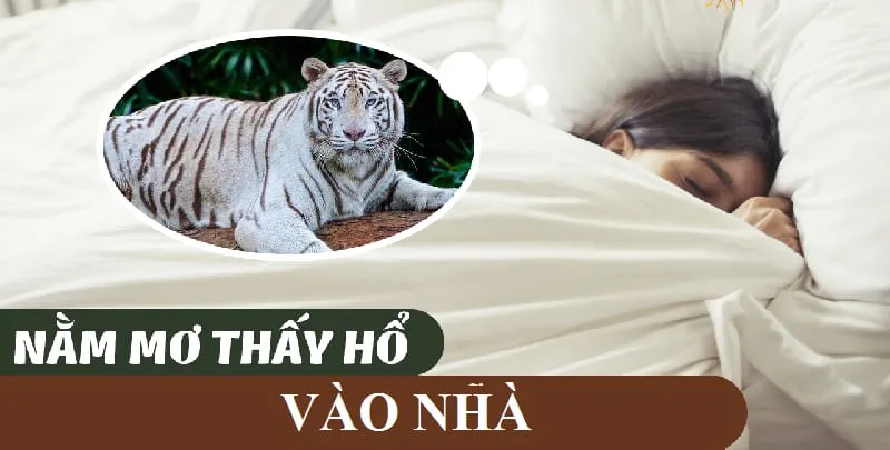 Điềm báo trong giấc mơ thấy Hổ vào nhà là gì? Điềm báo trong giấc mơ thấy Hổ vào nhà là gì?