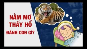 Giải mã: Ngủ mơ thấy Hổ đánh con gì dễ trúng?