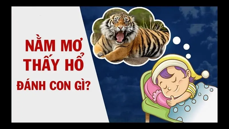 Giải mã: Ngủ mơ thấy Hổ đánh con gì dễ trúng?