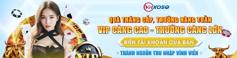 Thành tựu đạt được dưới sự lãnh đạo của Hoàng Minh Thủy