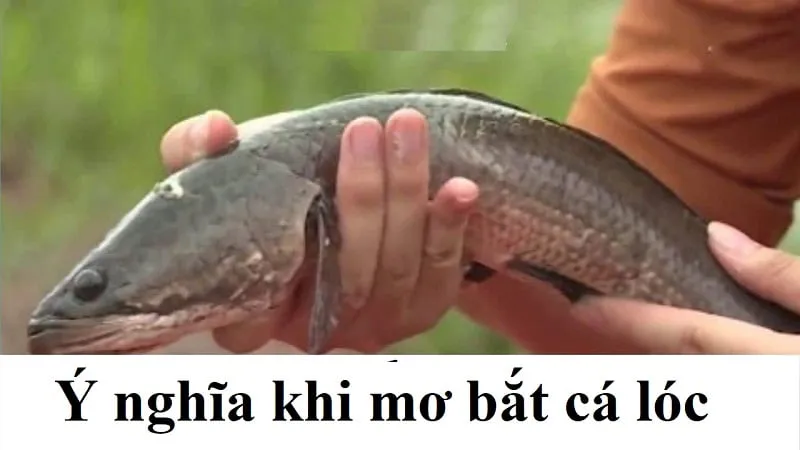 Ý nghĩa giấc mơ tốt xấu còn phụ thuộc vào nhiều điều Ý nghĩa giấc mơ tốt xấu còn phụ thuộc vào nhiều điều