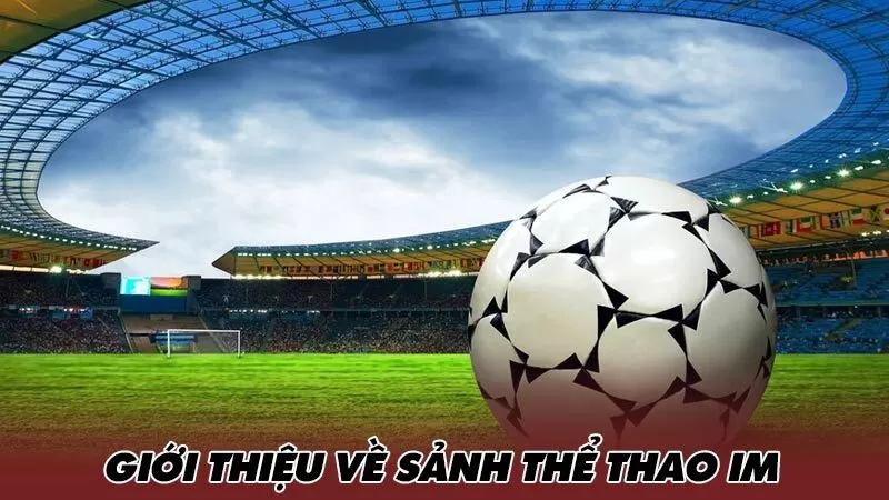 Một vài thông tin về sảnh IM